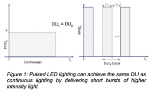 graph showing that pulsed LED lighting can achieve the same DLI as continuous lighting